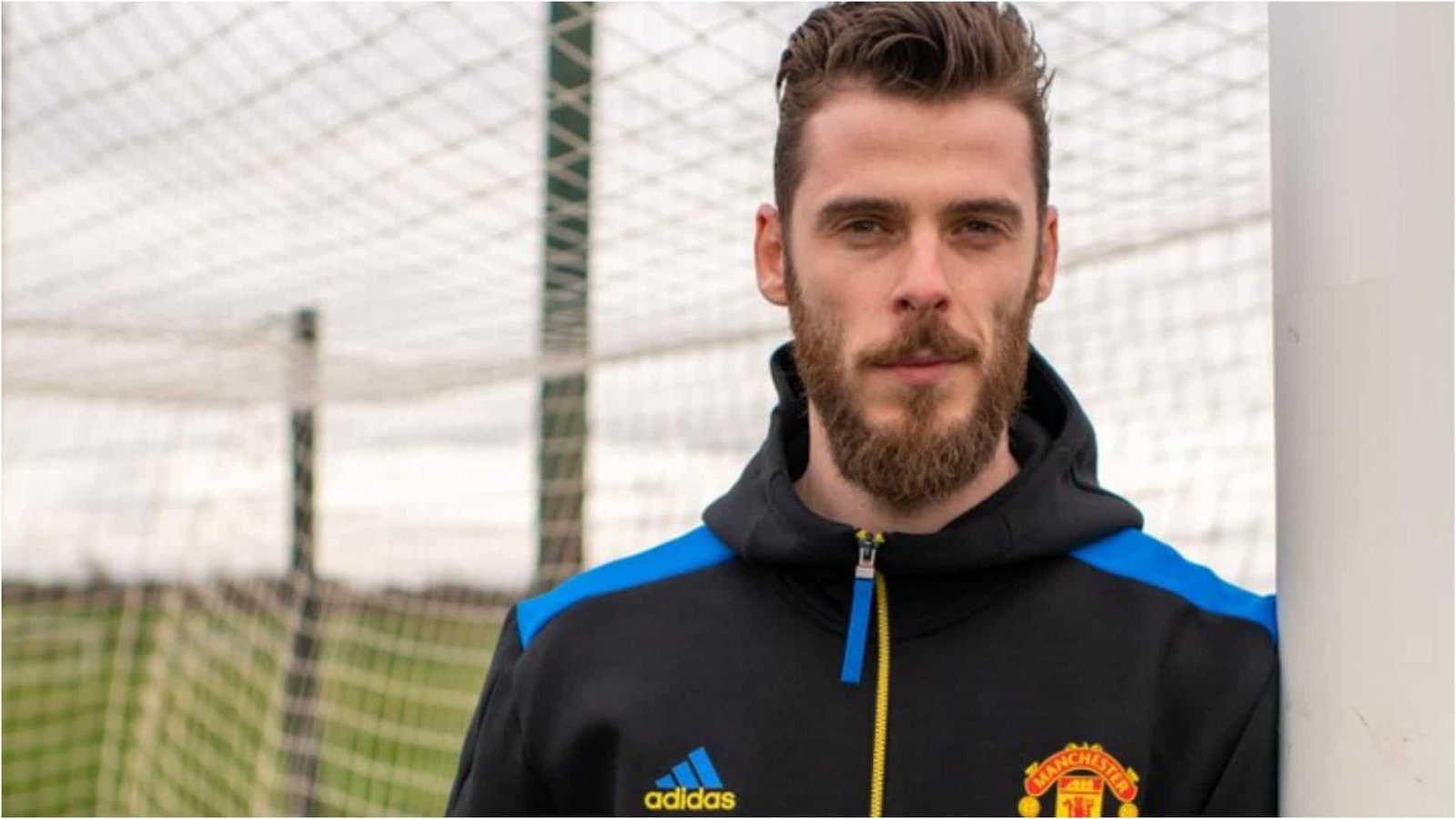 Spanish goalkeeper David de Gea was named names Premier League Player of the Month