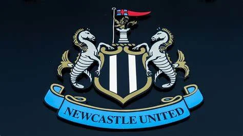 Ranking Among Others: Newcastle January Transfer Window 2022