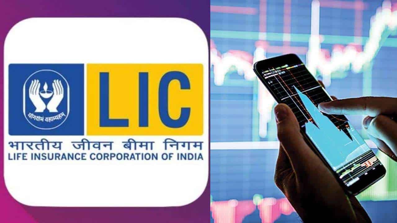 993265-ipo-lic