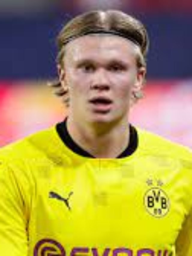 Career Stats of Erling Haaland Tech2Sports