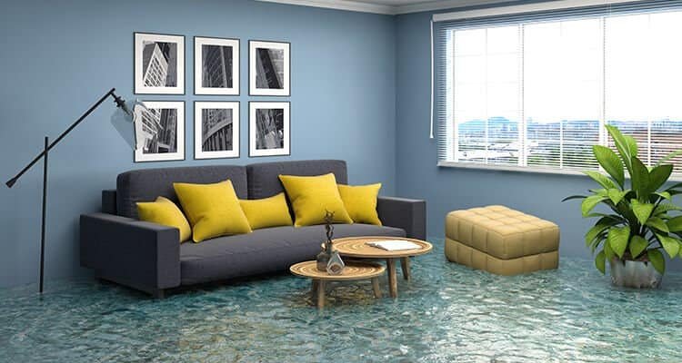 Restore Water Damage